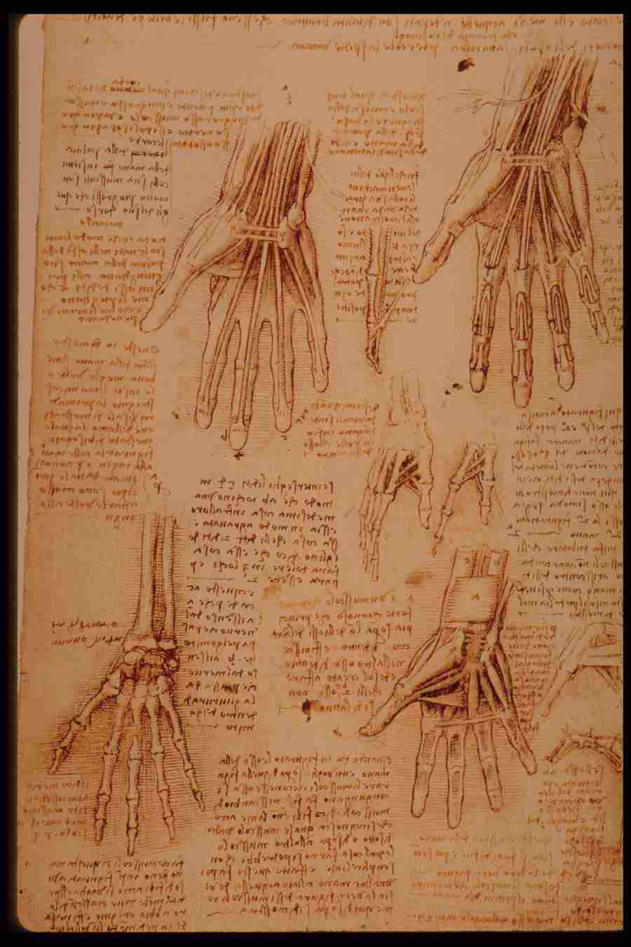 Leonardo Da Vinci - Planetart  ></a>
<script language=JavaScript> 
  var txt = 