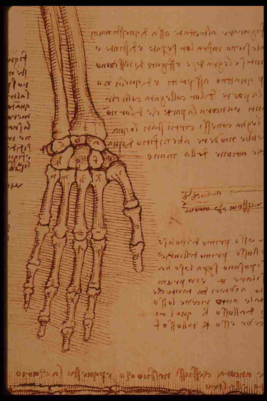 Leonardo Da Vinci - Planetart  ></a>
<script language=JavaScript> 
  var txt = 