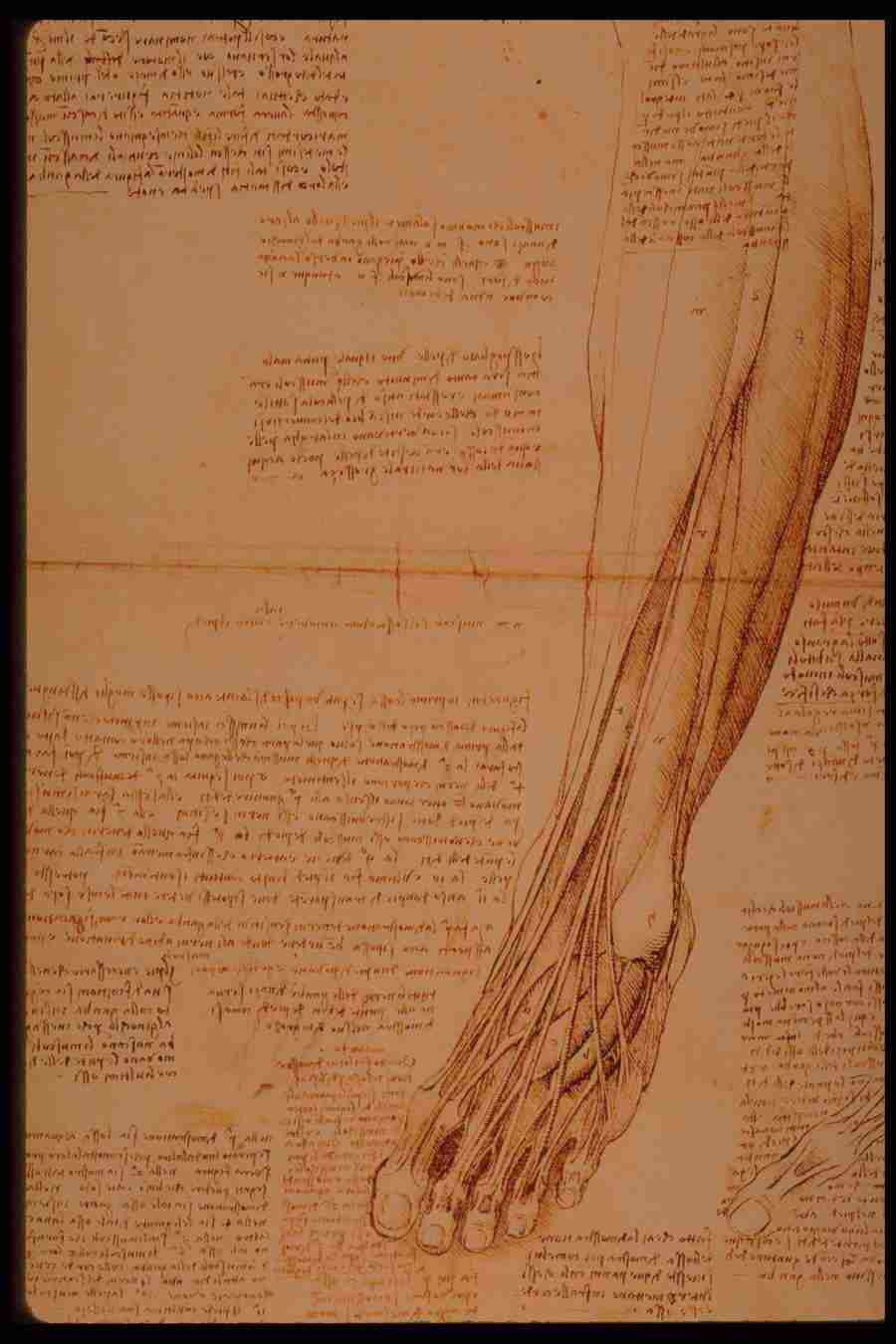 Leonardo Da Vinci - Planetart  ></a>
<script language=JavaScript> 
  var txt = 