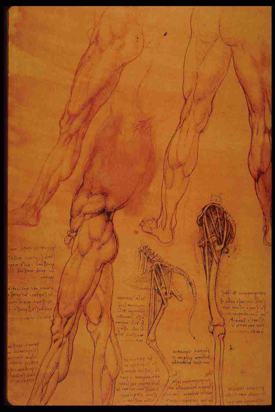 Leonardo Da Vinci - Planetart  ></a>
<script language=JavaScript> 
  var txt = 