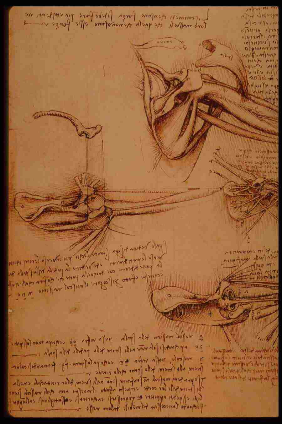 Leonardo Da Vinci - Planetart  ></a>
<script language=JavaScript> 
  var txt = 