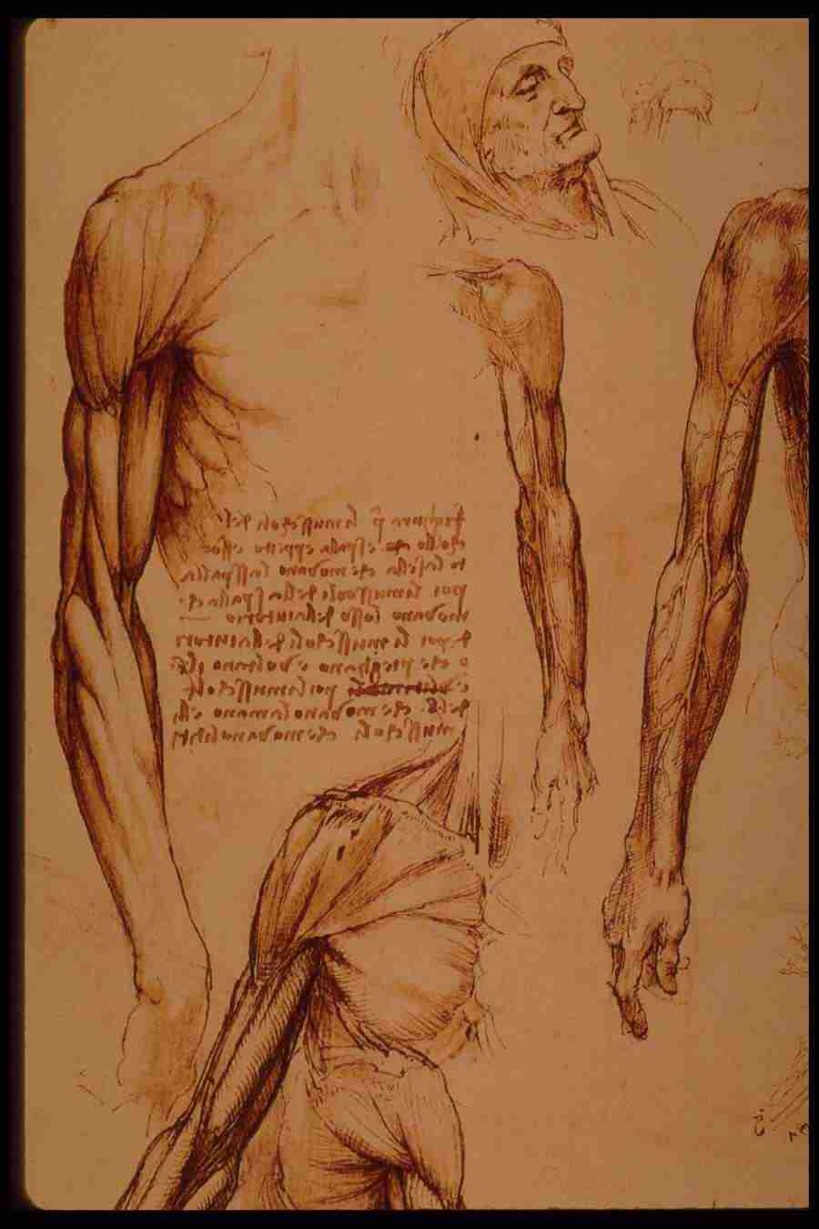 Leonardo Da Vinci - Planetart  ></a>
<script language=JavaScript> 
  var txt = 