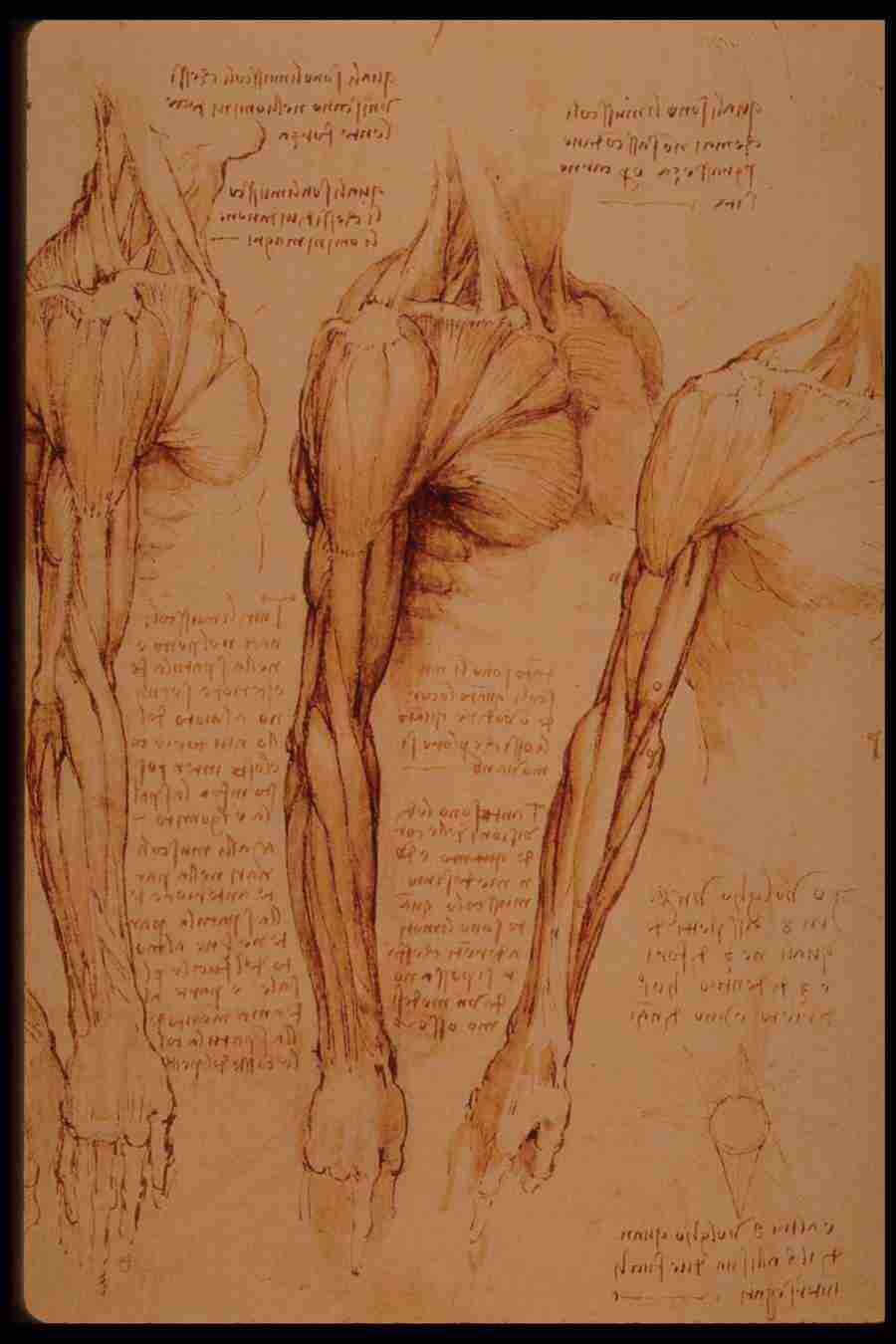 Leonardo Da Vinci - Planetart  ></a>
<script language=JavaScript> 
  var txt = 