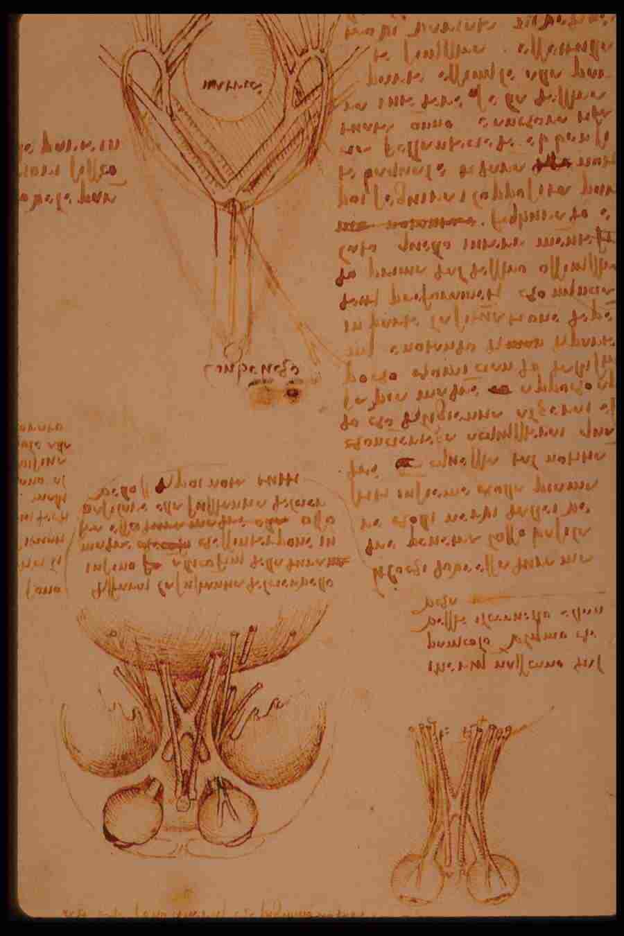 Leonardo Da Vinci - Planetart  ></a>
<script language=JavaScript> 
  var txt = 