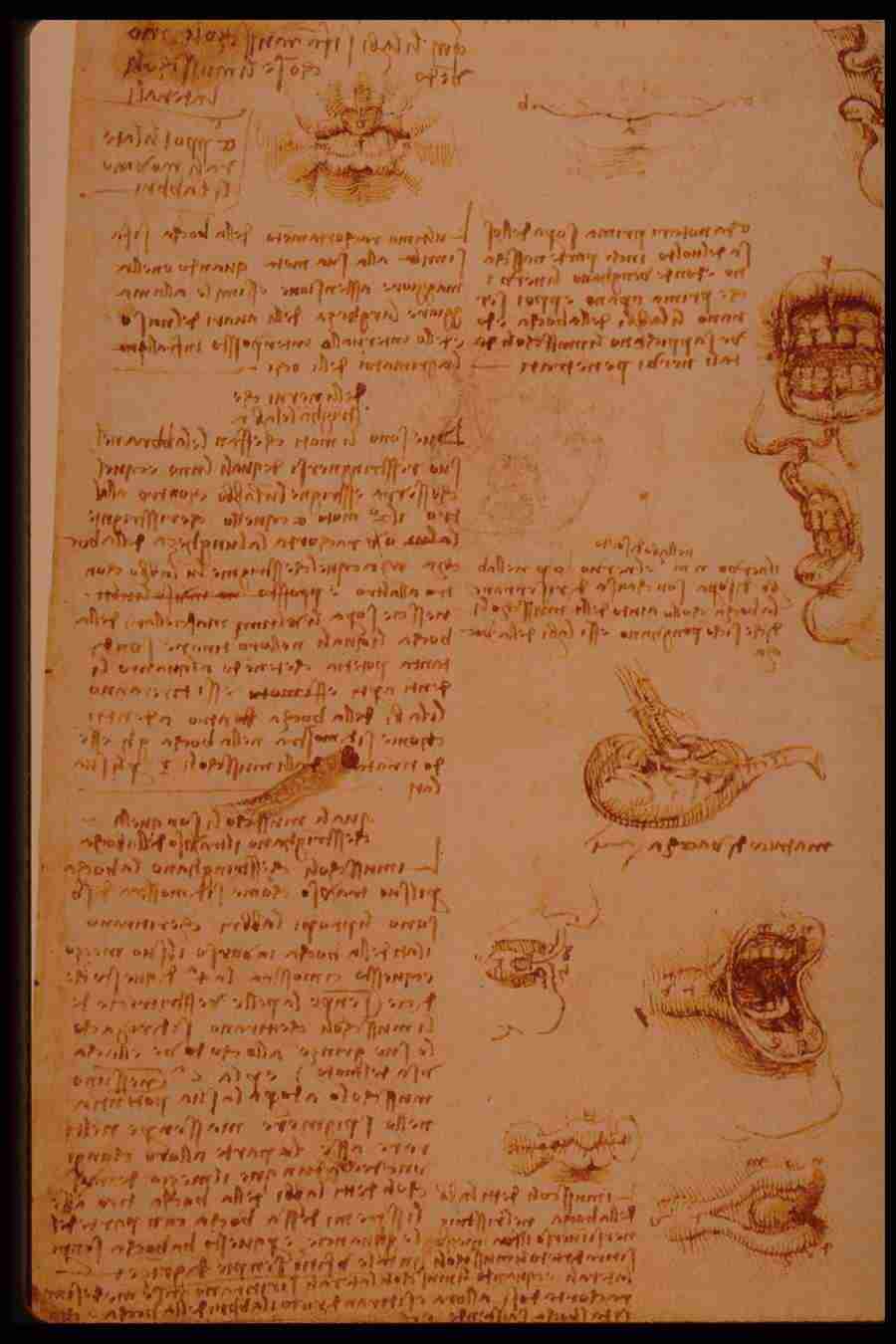 Leonardo Da Vinci - Planetart  ></a>
<script language=JavaScript> 
  var txt = 