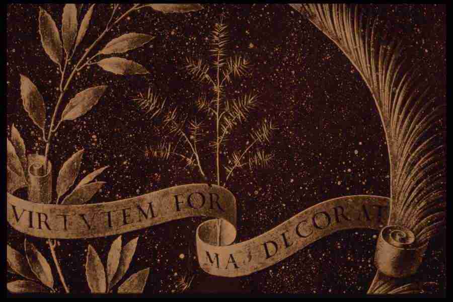 Leonardo Da Vinci - Planetart  ></a>
<script language=JavaScript> 
  var txt = 