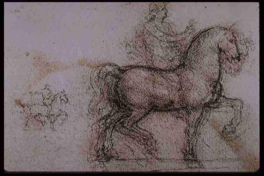 Leonardo Da Vinci - Planetart  ></a>
<script language=JavaScript> 
  var txt = 