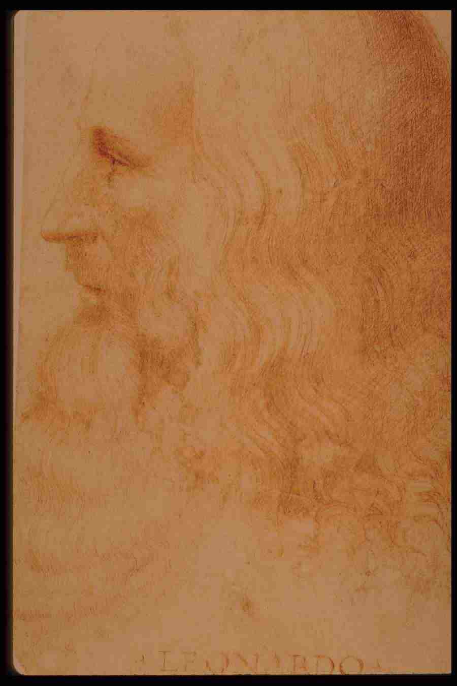 Leonardo Da Vinci - Planetart  ></a>
<script language=JavaScript> 
  var txt = 