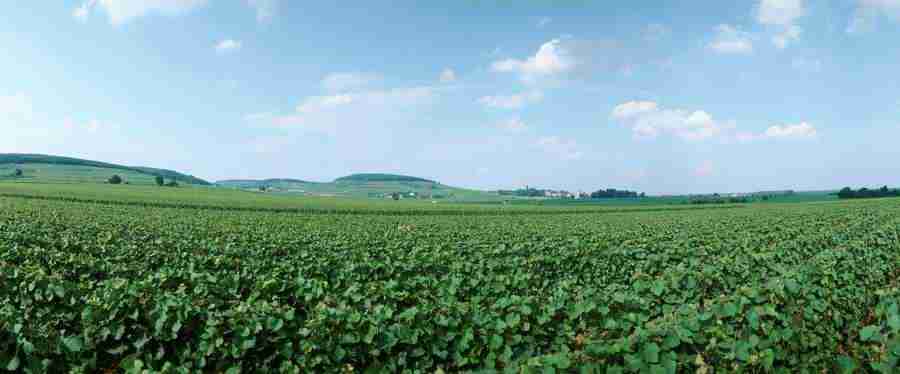 Panoramic Landscapes - PhotoAlto ></a>
<script language=JavaScript> 
  var txt = 