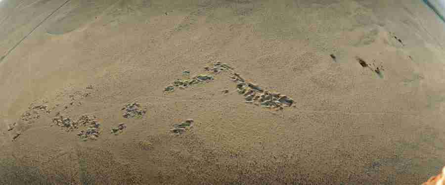 Panoramic Landscapes - PhotoAlto ></a>
<script language=JavaScript> 
  var txt = 