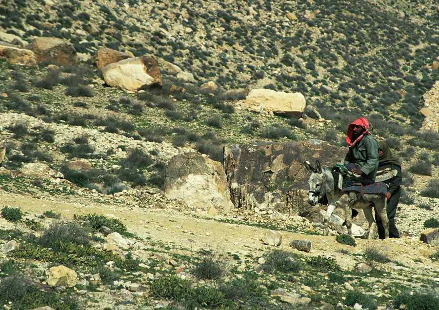 Transportation - PhotoAlto ></a>
<script language=JavaScript> 
  var txt = 