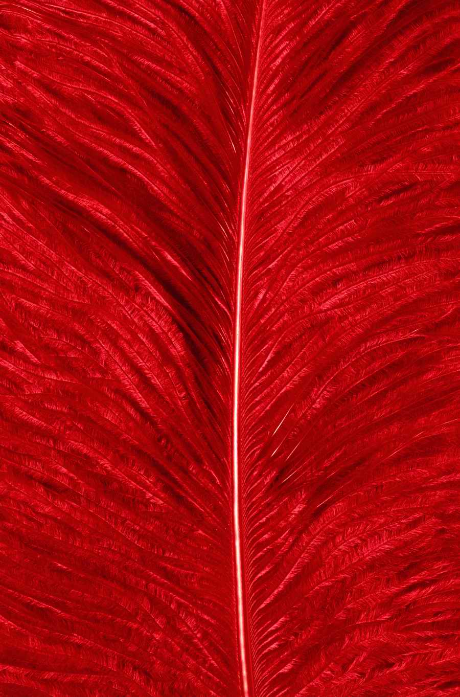 Animal Patterns - Photodisc Background Series ></a>
<script language=JavaScript> 
  var txt = 