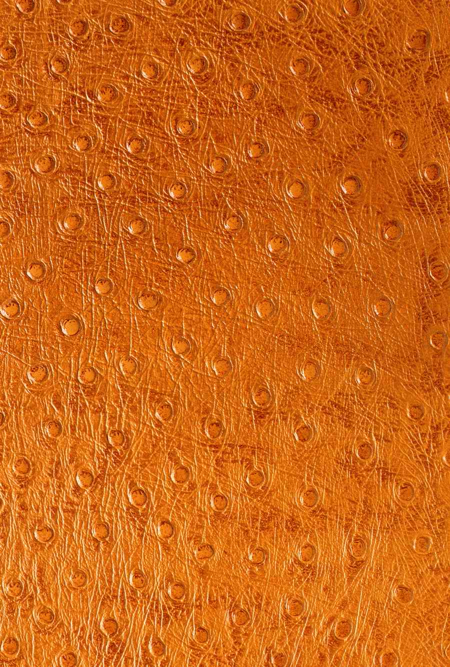 Animal Patterns - Photodisc Background Series ></a>
<script language=JavaScript> 
  var txt = 