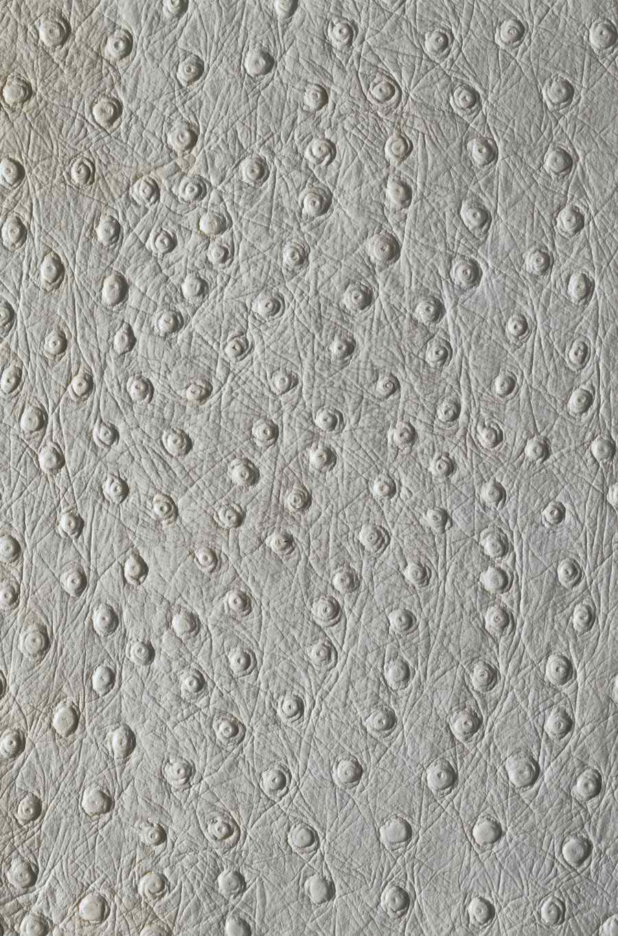 Animal Patterns - Photodisc Background Series ></a>
<script language=JavaScript> 
  var txt = 