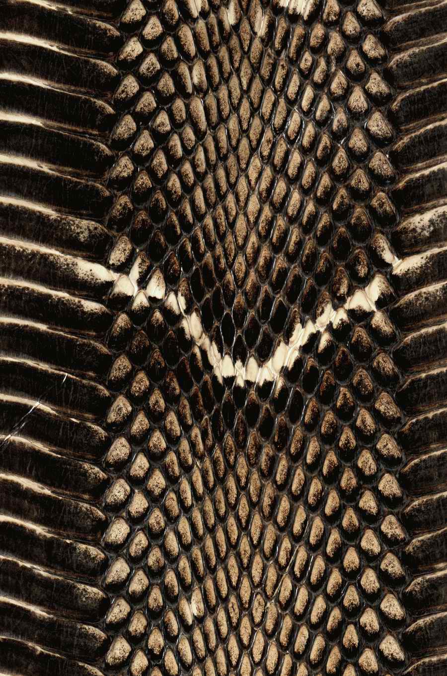 Animal Patterns - Photodisc Background Series ></a>
<script language=JavaScript> 
  var txt = 