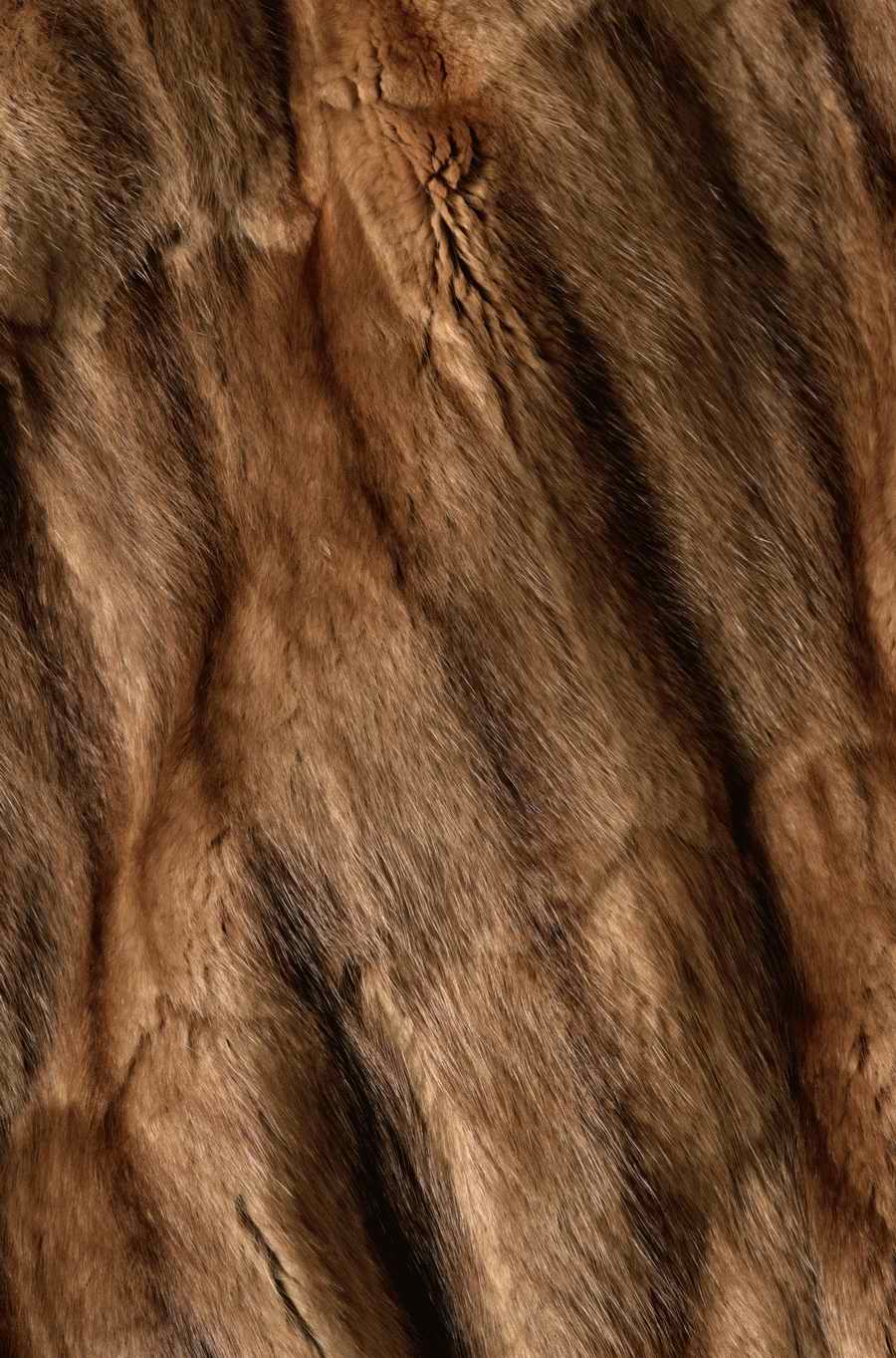 Animal Patterns - Photodisc Background Series ></a>
<script language=JavaScript> 
  var txt = 