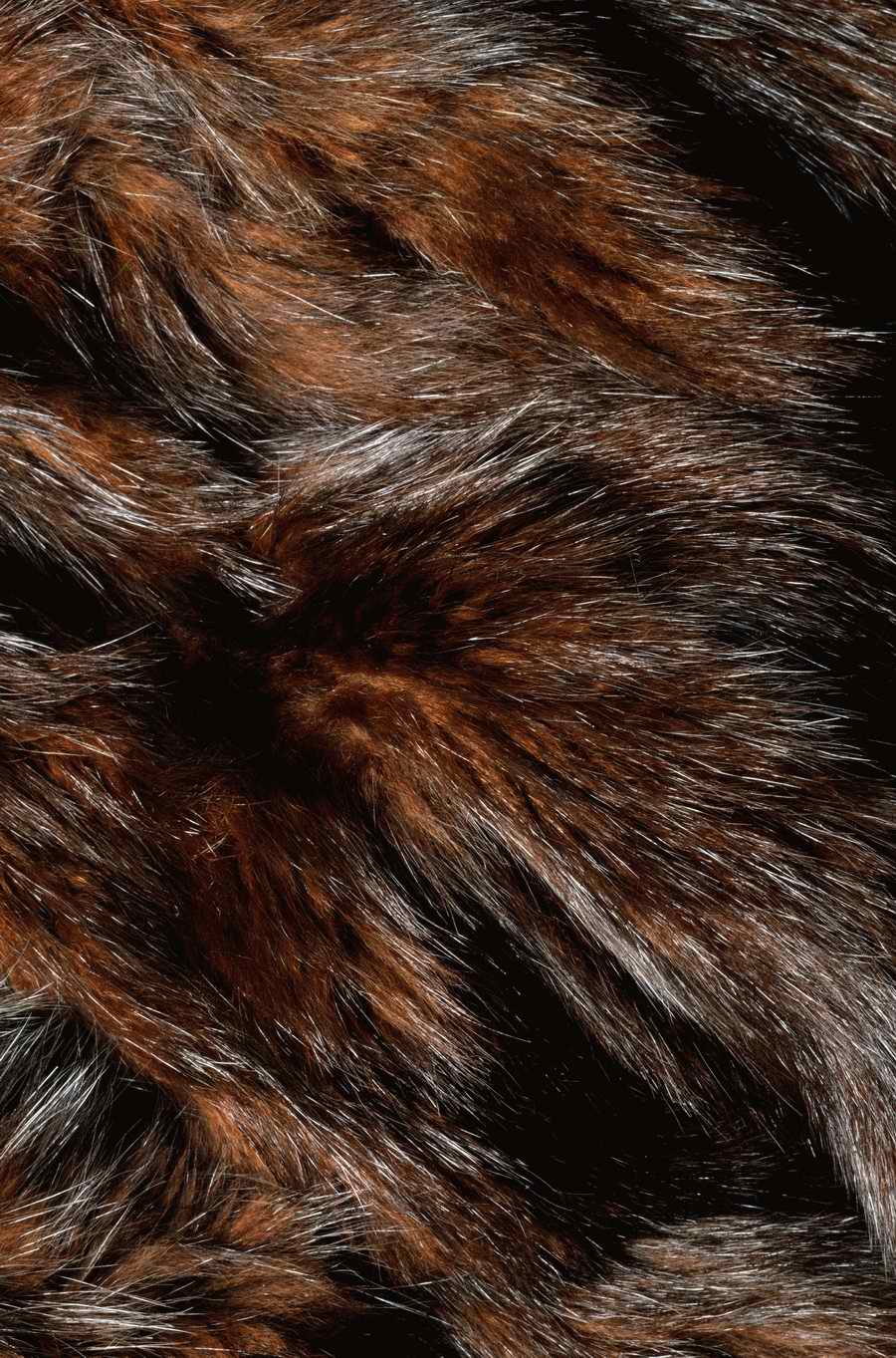 Animal Patterns - Photodisc Background Series ></a>
<script language=JavaScript> 
  var txt = 