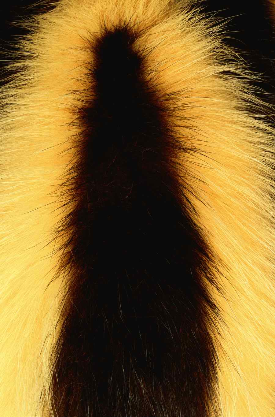 Animal Patterns - Photodisc Background Series ></a>
<script language=JavaScript> 
  var txt = 