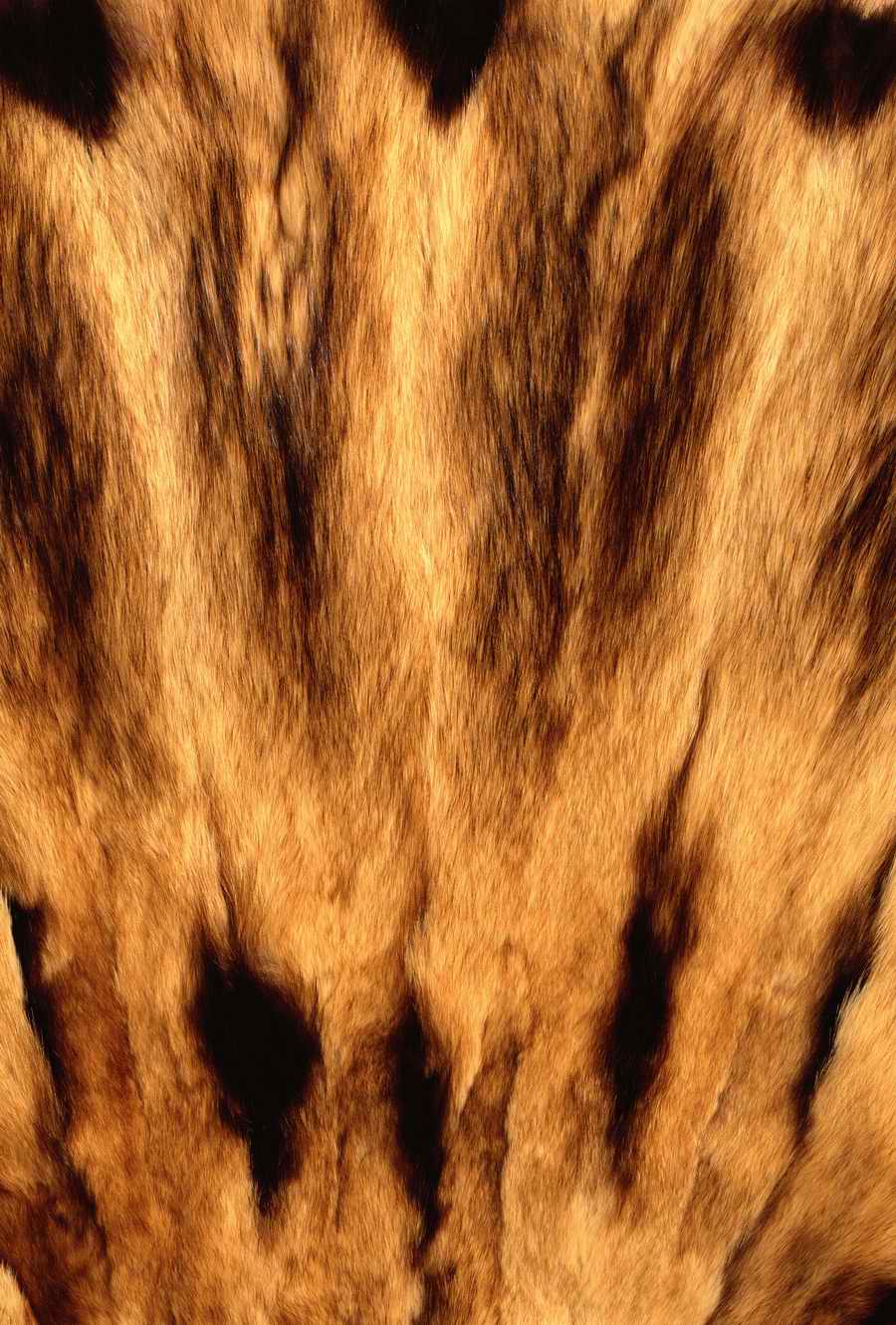 Animal Patterns - Photodisc Background Series ></a>
<script language=JavaScript> 
  var txt = 