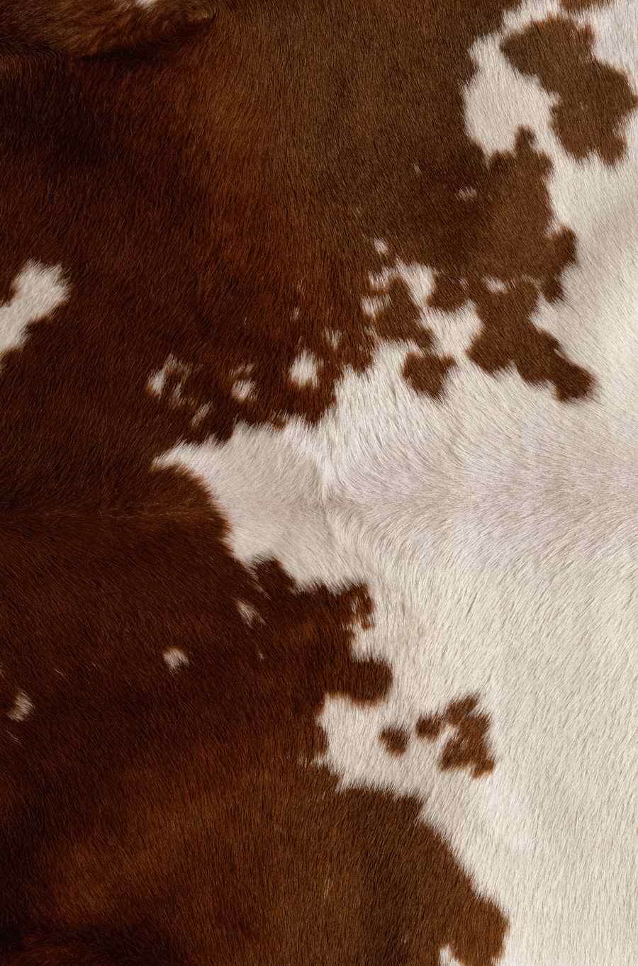 Animal Patterns - Photodisc Background Series ></a>
<script language=JavaScript> 
  var txt = 