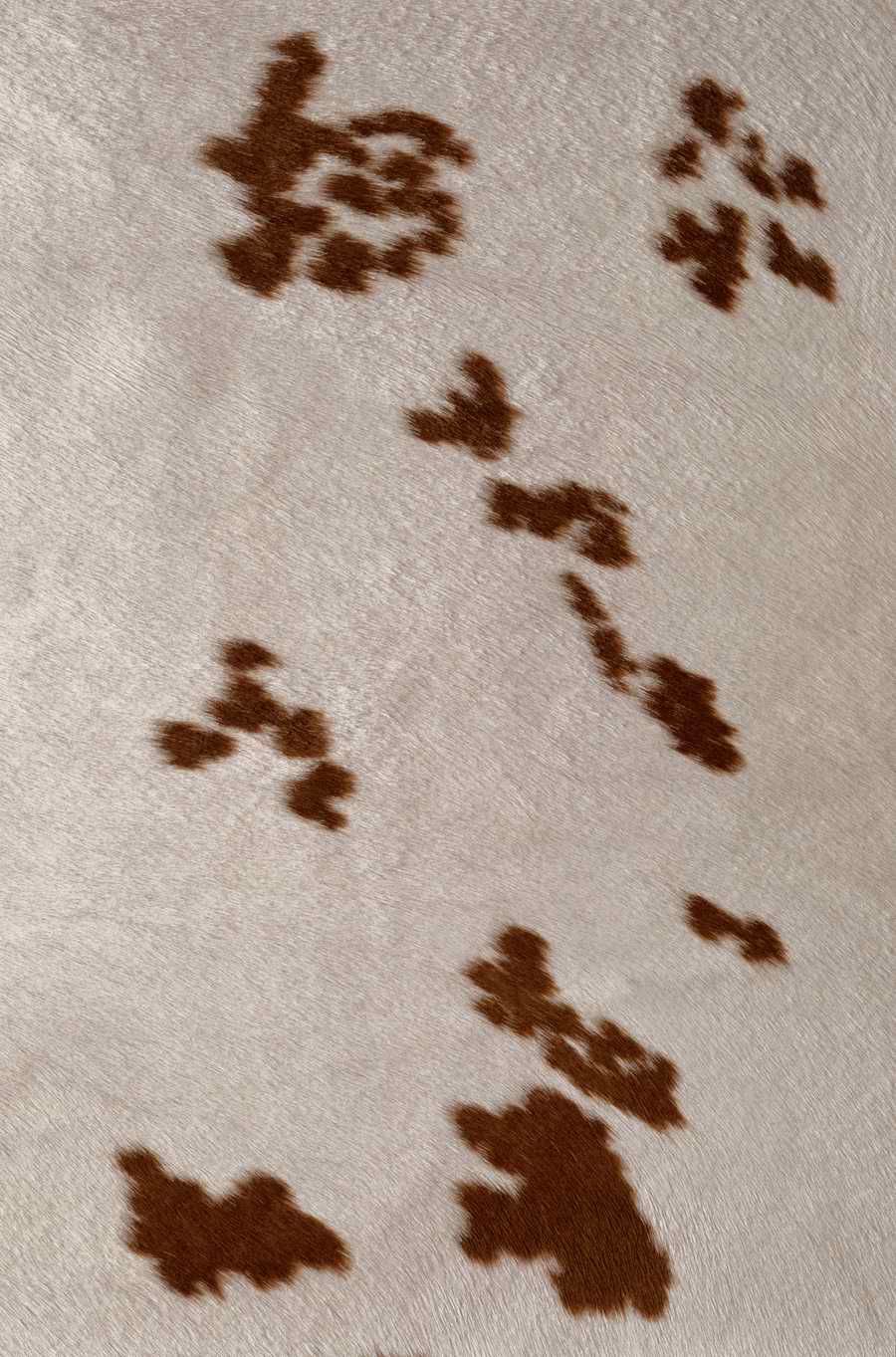 Animal Patterns - Photodisc Background Series ></a>
<script language=JavaScript> 
  var txt = 