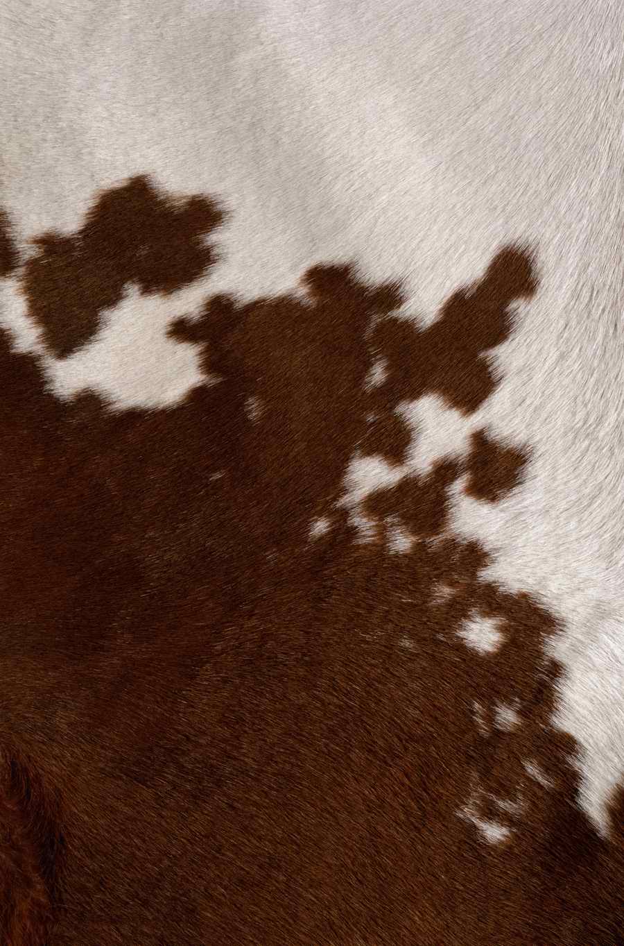 Animal Patterns - Photodisc Background Series ></a>
<script language=JavaScript> 
  var txt = 