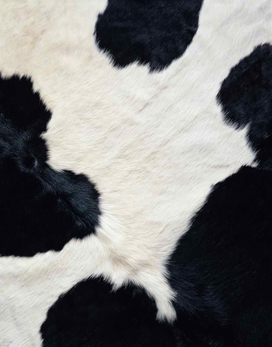 Animal Patterns - Photodisc Background Series ></a>
<script language=JavaScript> 
  var txt = 