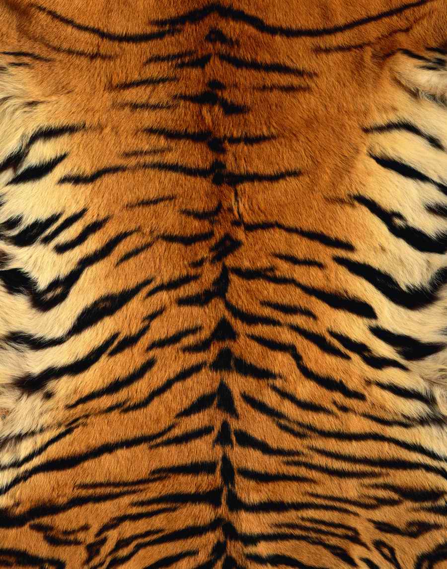 Animal Patterns - Photodisc Background Series ></a>
<script language=JavaScript> 
  var txt = 