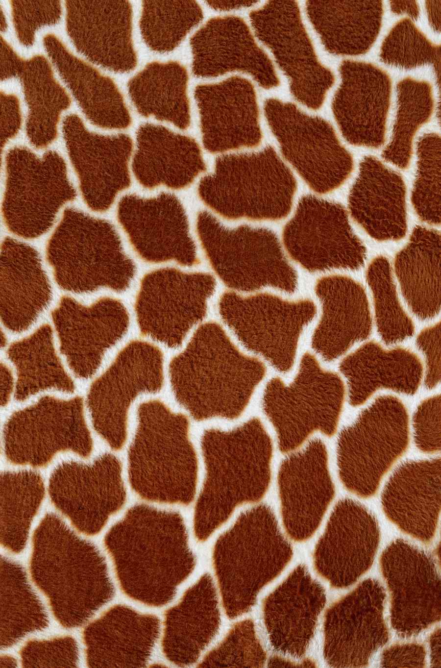 Animal Patterns - Photodisc Background Series ></a>
<script language=JavaScript> 
  var txt = 
