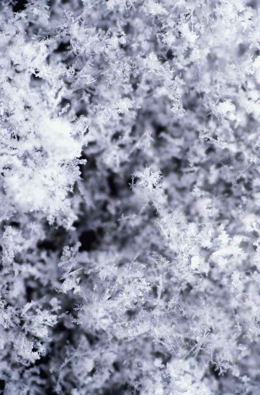 Elements 2 - Photodisc Background Series ></a>
<script language=JavaScript> 
  var txt = 
