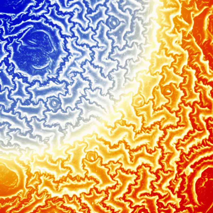 Electron Microscapes - Photodisc Background Series ></a>
<script language=JavaScript> 
  var txt = 
