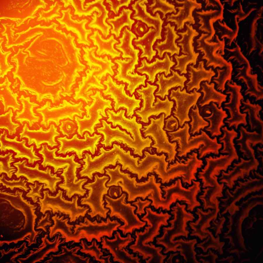 Electron Microscapes - Photodisc Background Series ></a>
<script language=JavaScript> 
  var txt = 