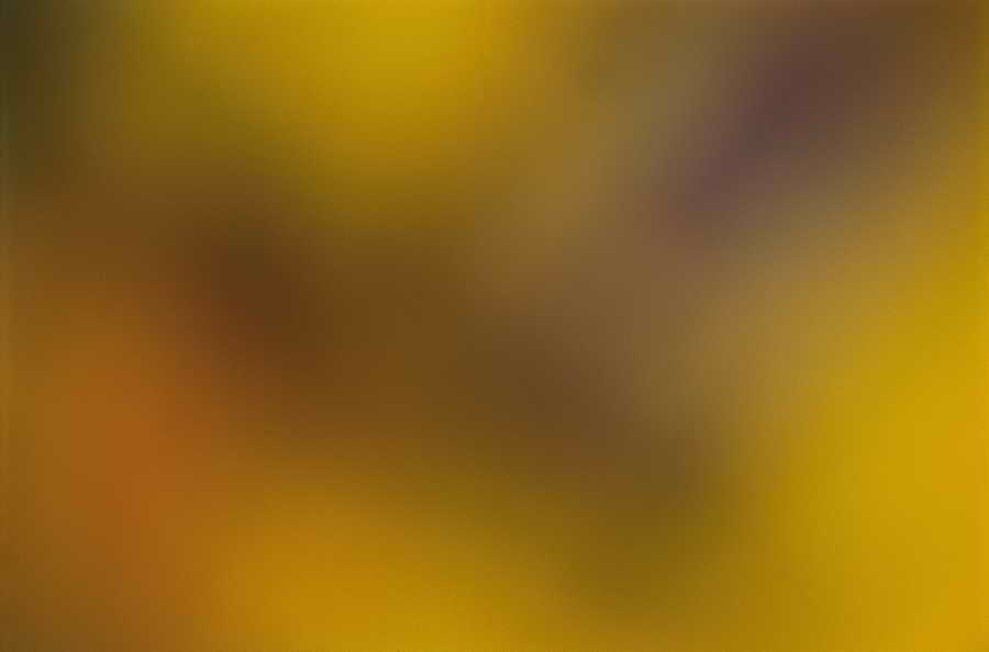 Etheral Shadows - Photodisc Background Series ></a>
<script language=JavaScript> 
  var txt = 