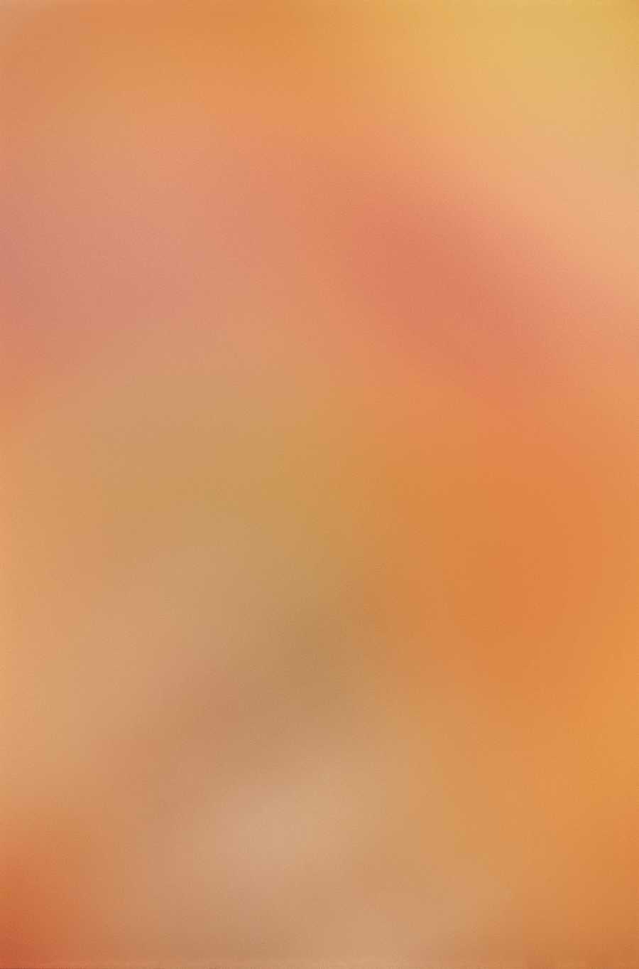 Etheral Shadows - Photodisc Background Series ></a>
<script language=JavaScript> 
  var txt = 