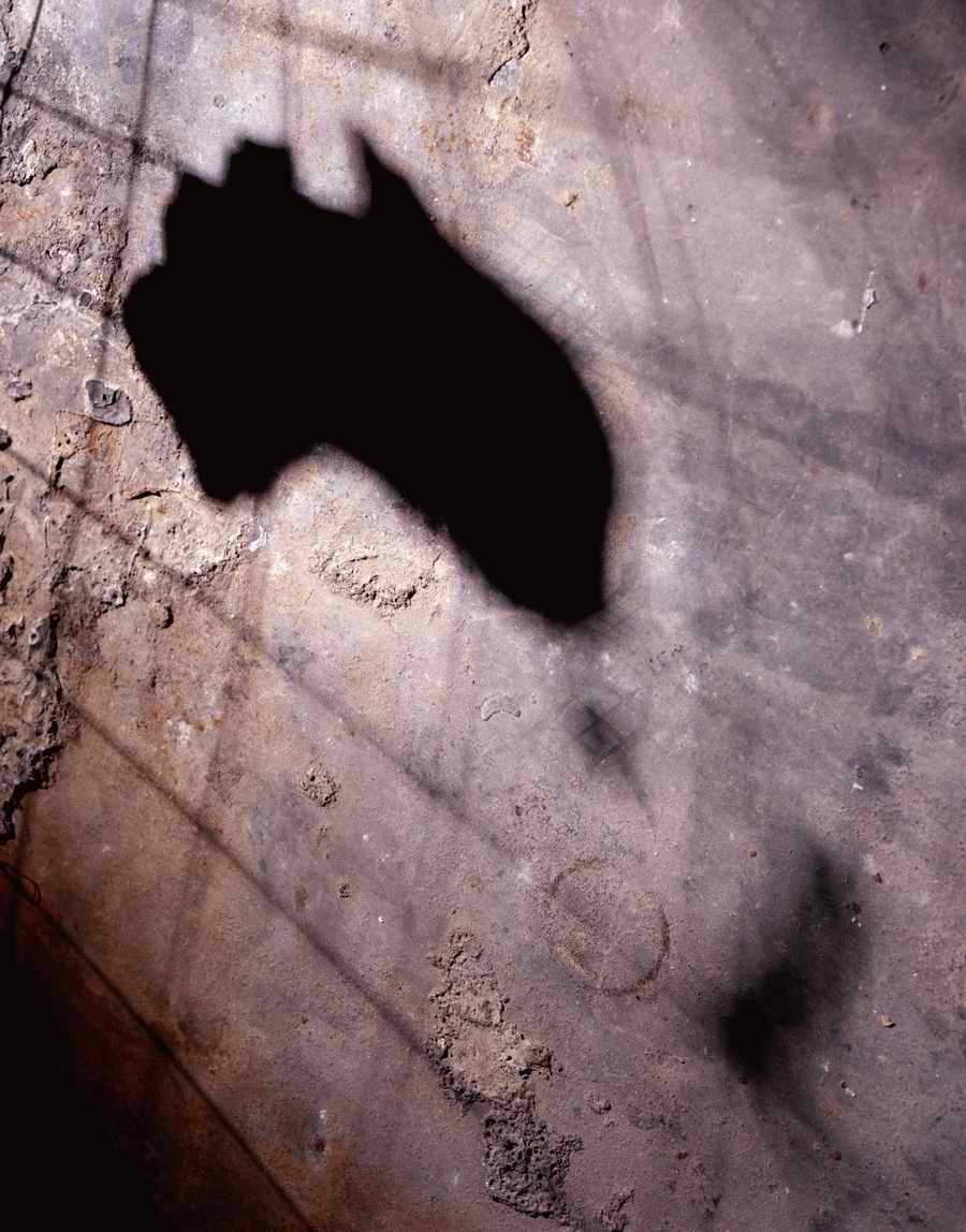 Global Surfaces - Photodisc Background Series ></a>
<script language=JavaScript> 
  var txt = 