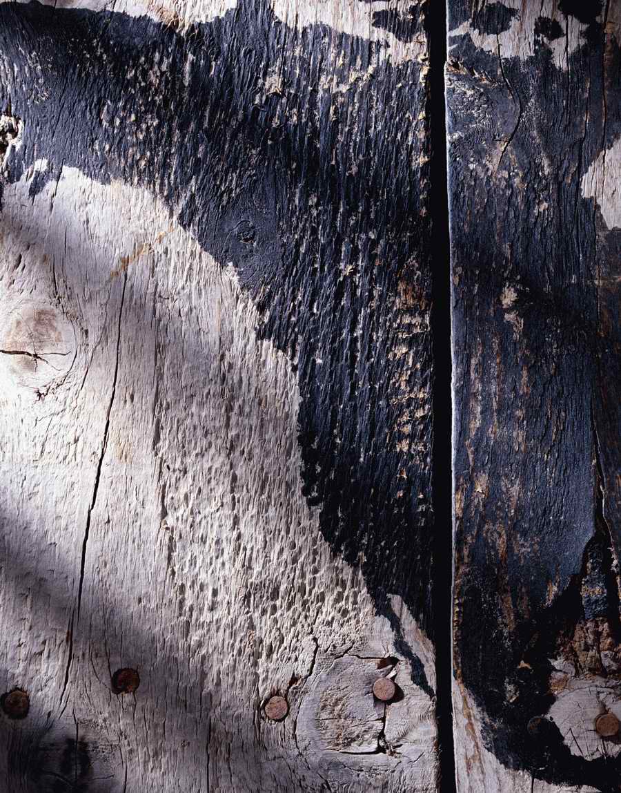 Global Surfaces - Photodisc Background Series ></a>
<script language=JavaScript> 
  var txt = 