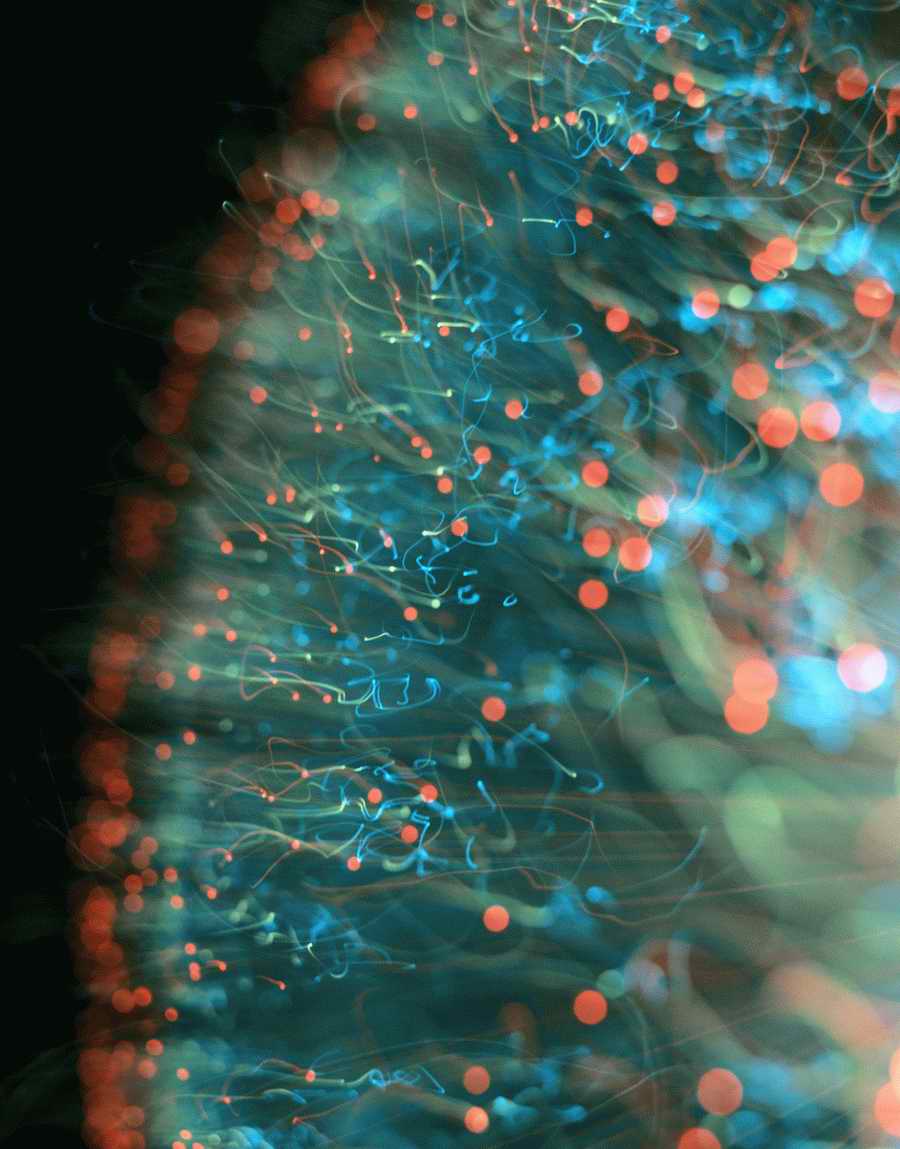 Luminosity - Photodisc Background Series ></a>
<script language=JavaScript> 
  var txt = 