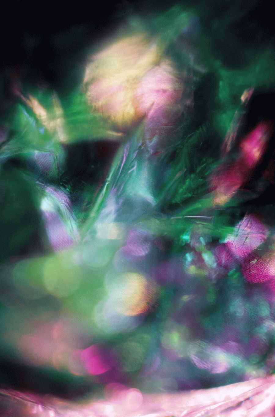 Luminosity - Photodisc Background Series ></a>
<script language=JavaScript> 
  var txt = 