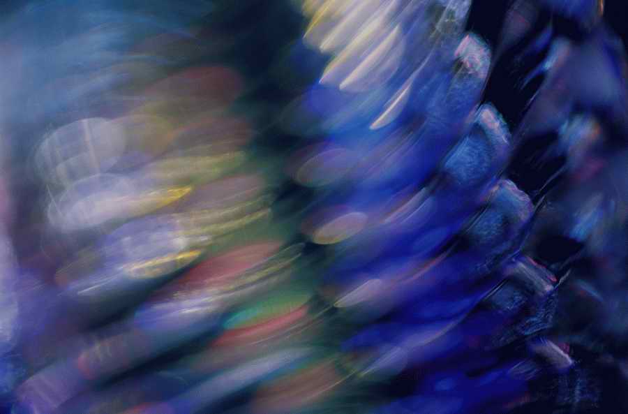 Luminosity - Photodisc Background Series ></a>
<script language=JavaScript> 
  var txt = 