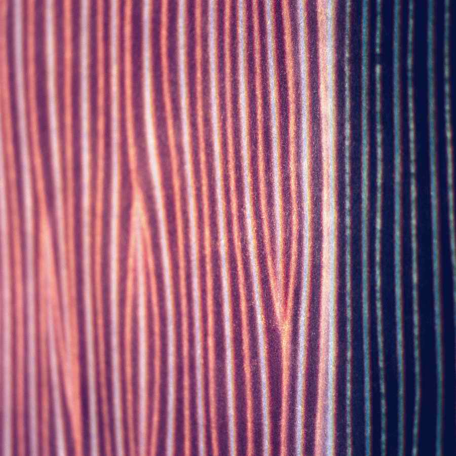 Luminosity - Photodisc Background Series ></a>
<script language=JavaScript> 
  var txt = 