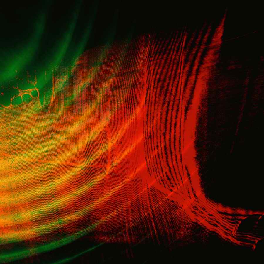 Luminosity - Photodisc Background Series ></a>
<script language=JavaScript> 
  var txt = 