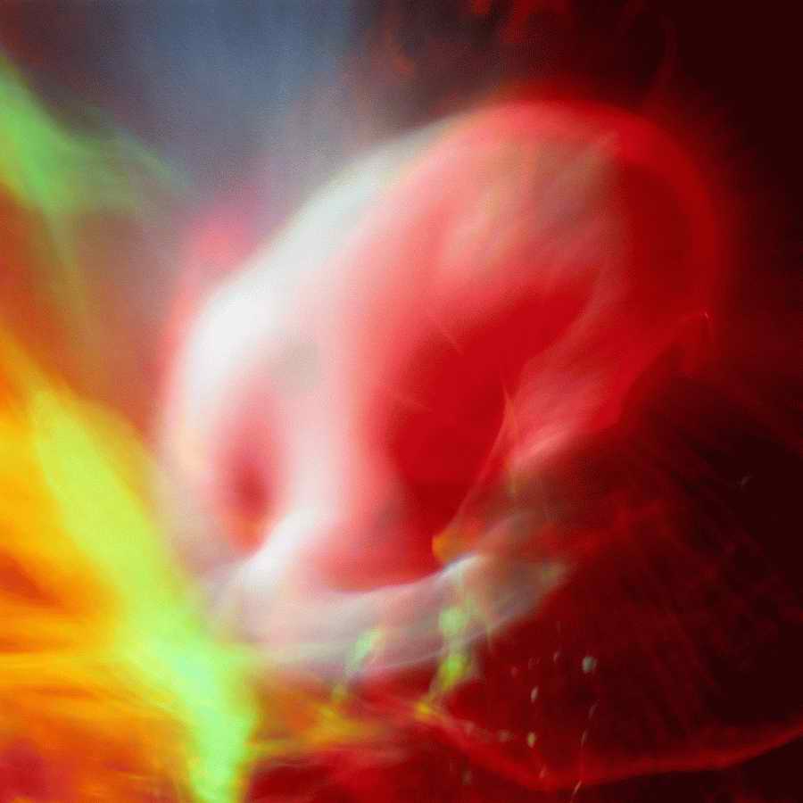 Luminosity - Photodisc Background Series ></a>
<script language=JavaScript> 
  var txt = 