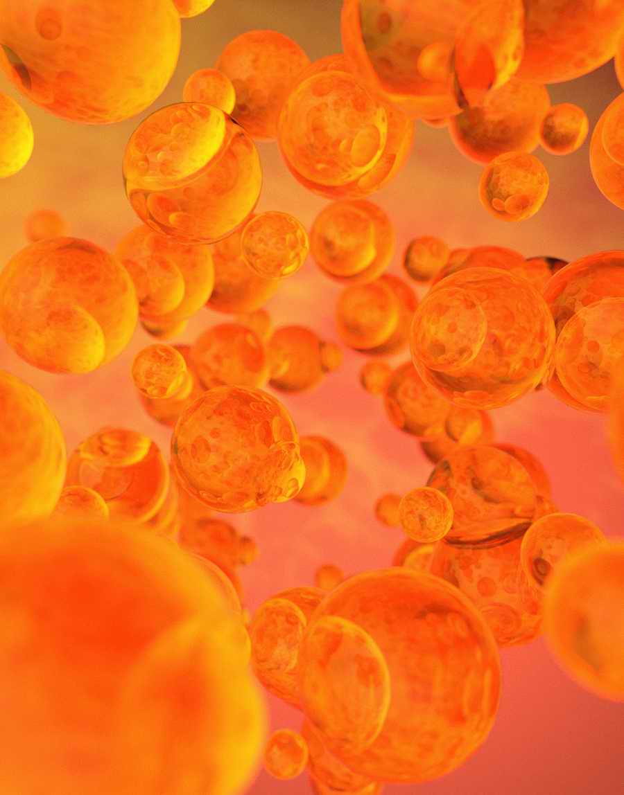 Luminosity - Photodisc Background Series ></a>
<script language=JavaScript> 
  var txt = 