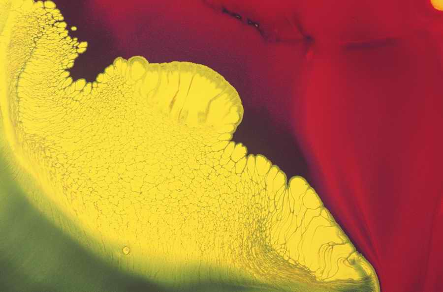 Mod Twisters - Photodisc Background Series ></a>
<script language=JavaScript> 
  var txt = 