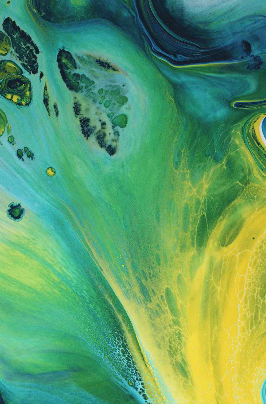 Mod Twisters - Photodisc Background Series ></a>
<script language=JavaScript> 
  var txt = 