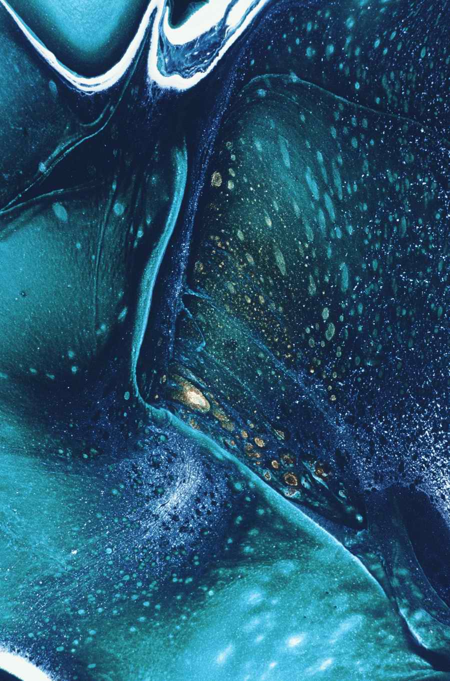 Mod Twisters - Photodisc Background Series ></a>
<script language=JavaScript> 
  var txt = 