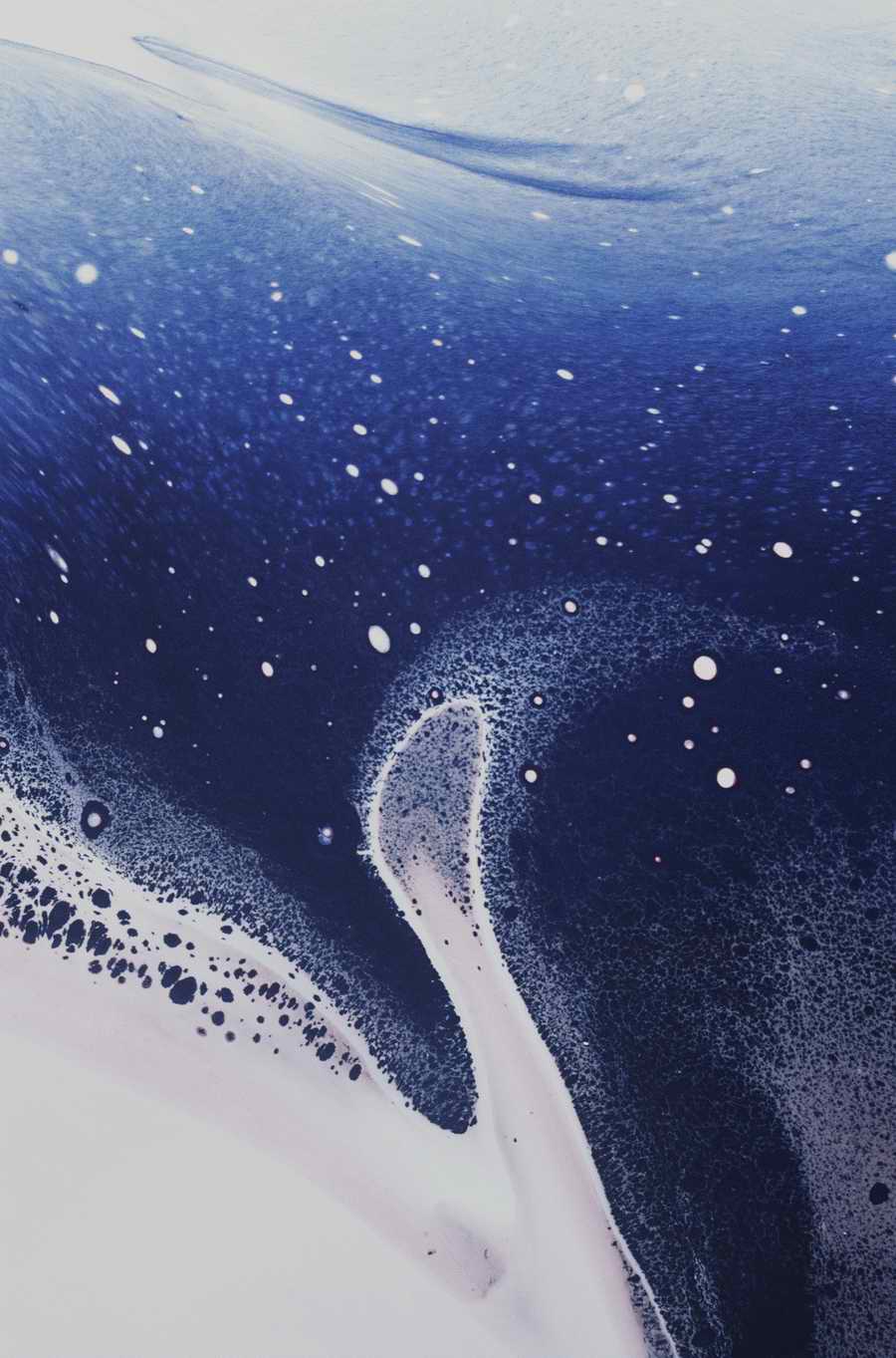 Mod Twisters - Photodisc Background Series ></a>
<script language=JavaScript> 
  var txt = 