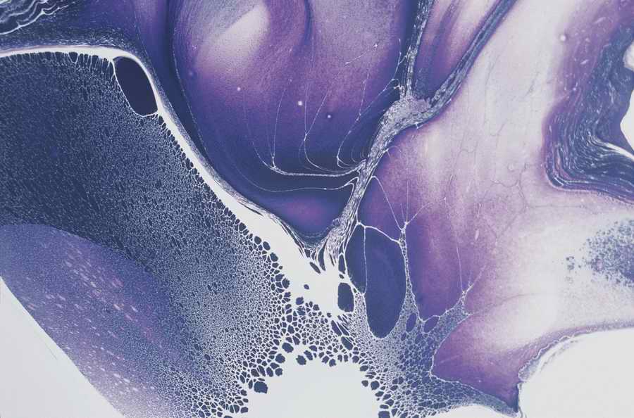 Mod Twisters - Photodisc Background Series ></a>
<script language=JavaScript> 
  var txt = 