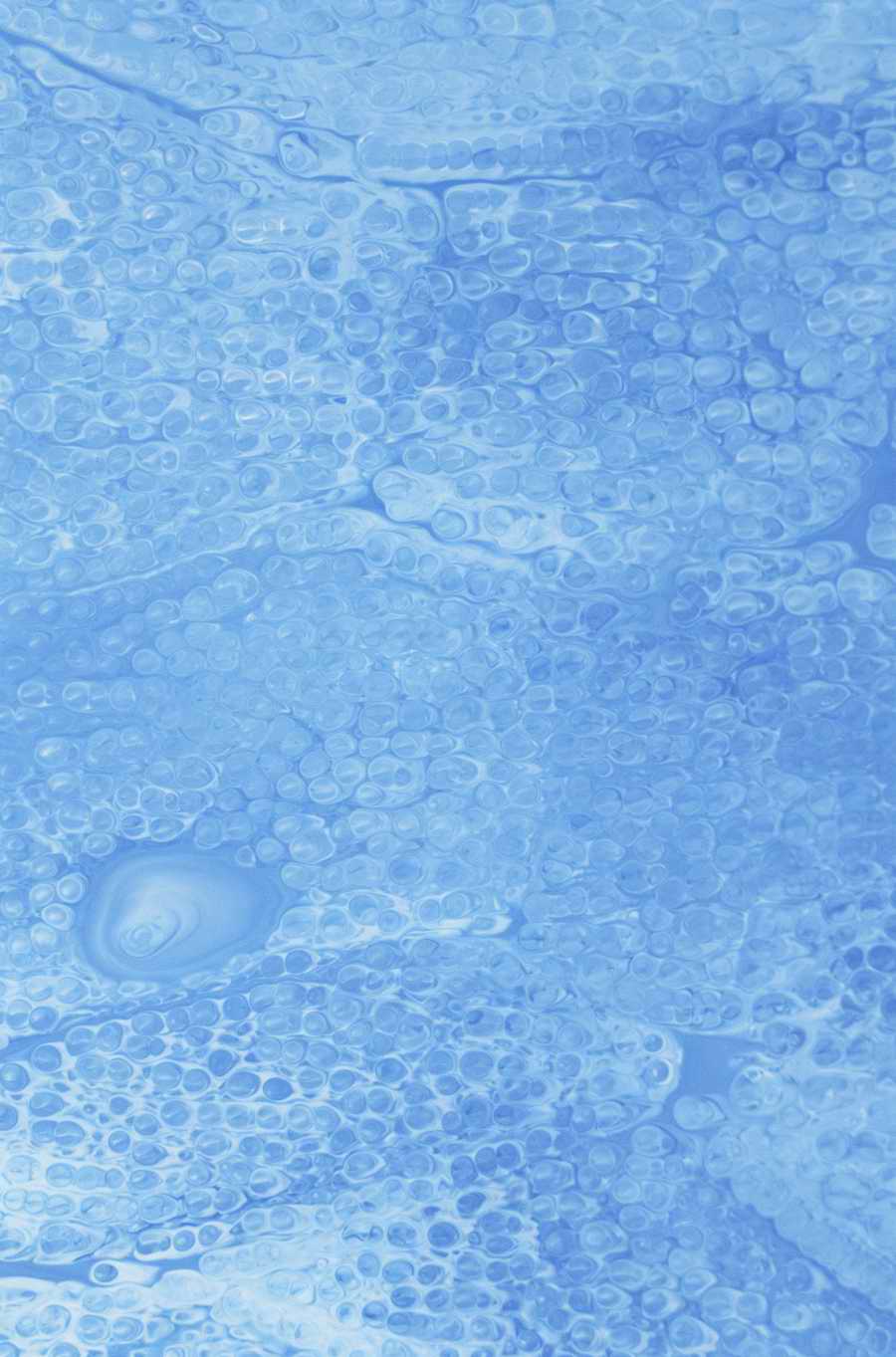 Mod Twisters - Photodisc Background Series ></a>
<script language=JavaScript> 
  var txt = 