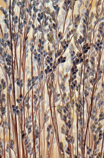 Photodisc Background Series: Natural Patterns 